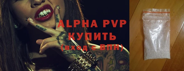 ПСИЛОЦИБИНОВЫЕ ГРИБЫ Няндома