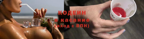 прущие грибы Нязепетровск