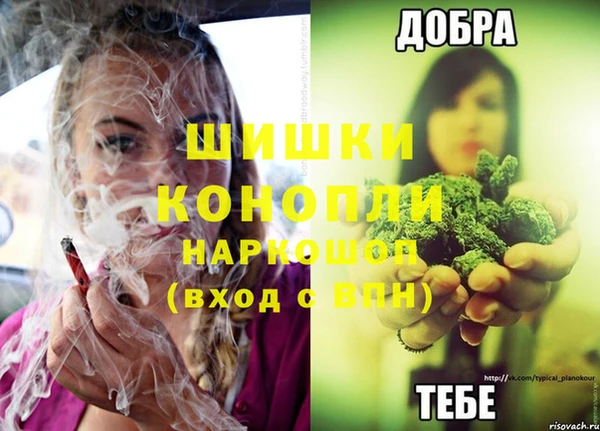 ПСИЛОЦИБИНОВЫЕ ГРИБЫ Няндома