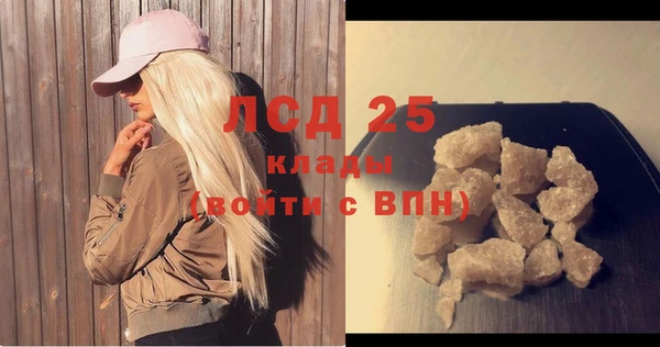 ПСИЛОЦИБИНОВЫЕ ГРИБЫ Няндома
