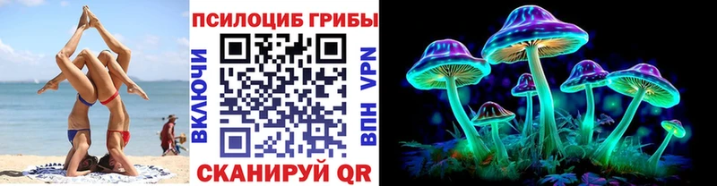 Галлюциногенные грибы Psilocybine cubensis  купить закладку  omg маркетплейс  Пудож 